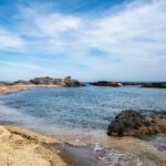 Mediterraneo in crisi: alghe tossiche e specie invasive in aumento