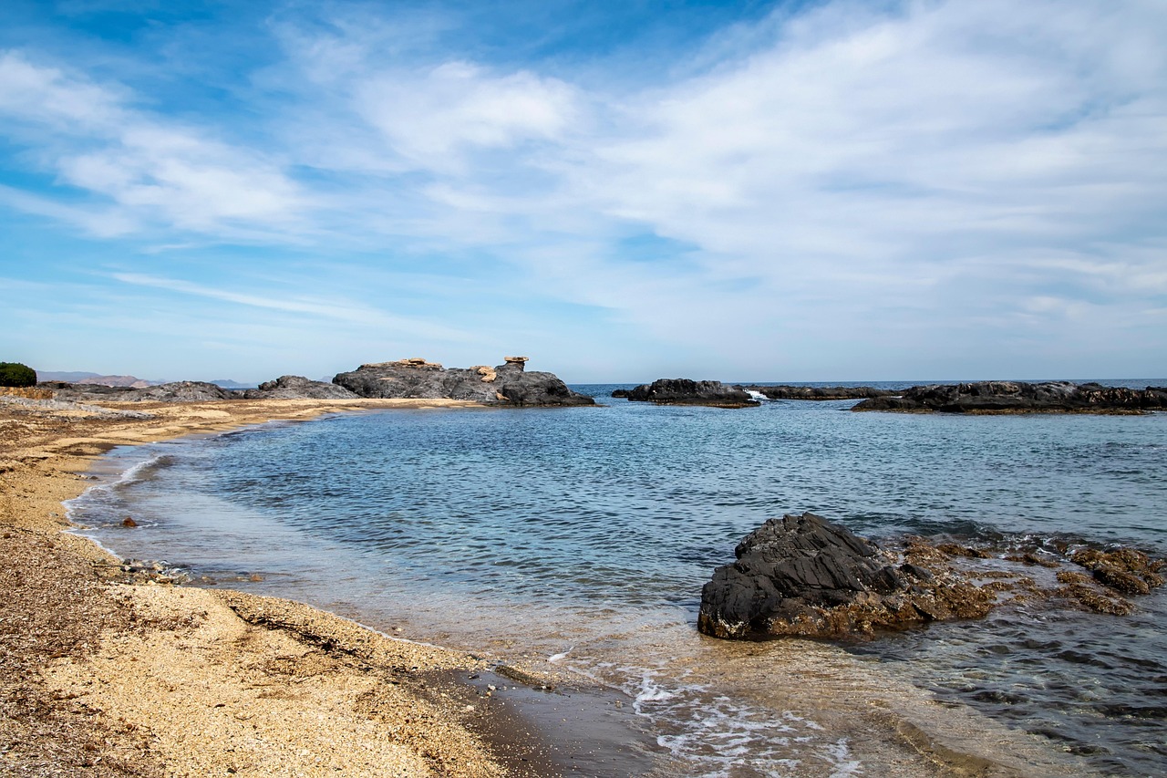 Scopri di più sull'articolo Mediterraneo in crisi: alghe tossiche e specie invasive in aumento