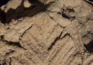 Scopri di più sull'articolo Ricerca: amianto a Pilsen, Repubblica Ceca