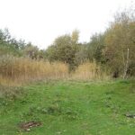 UK e amianto, speranza per la riapertura della riserva naturale