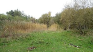 Scopri di più sull'articolo UK e amianto, speranza per la riapertura della riserva naturale