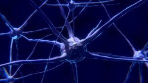 Scopri di più sull'articolo Epilessia, uno dei primi impianti in Italia di neuromodulazione epicranica